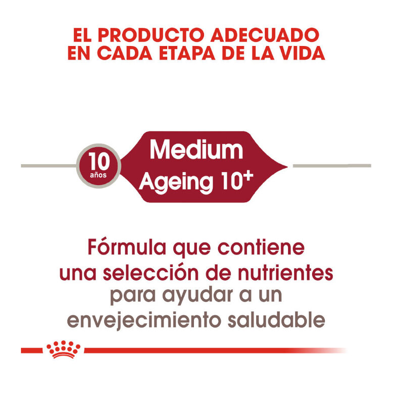 Royal Canin Medium 10+ Ageing pienso para perros, , large image number null